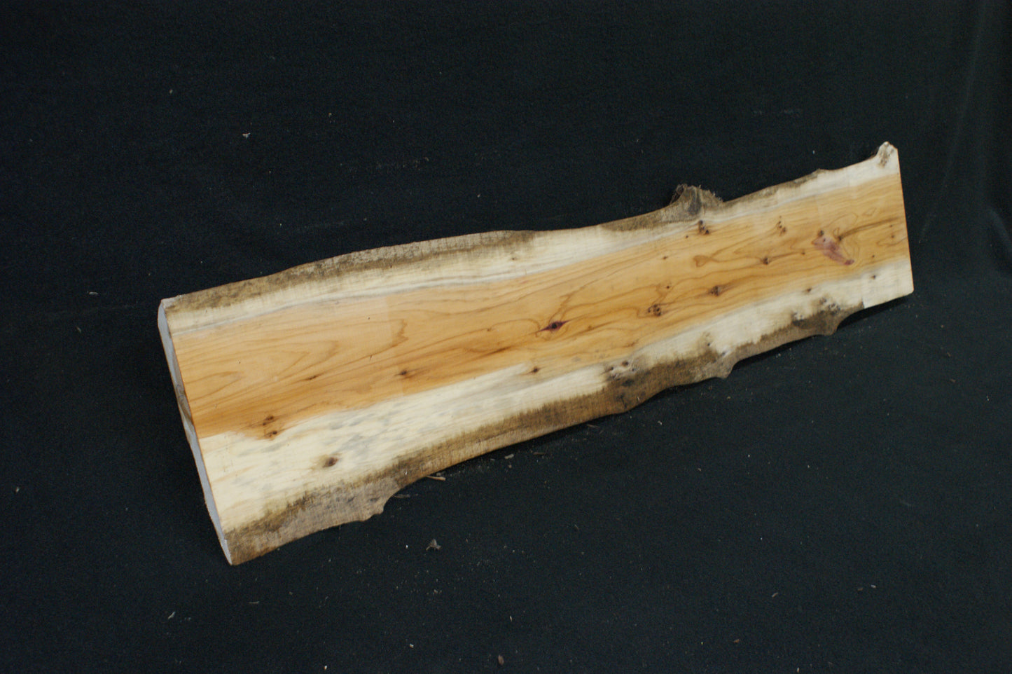 English Yew Shelf. (610)