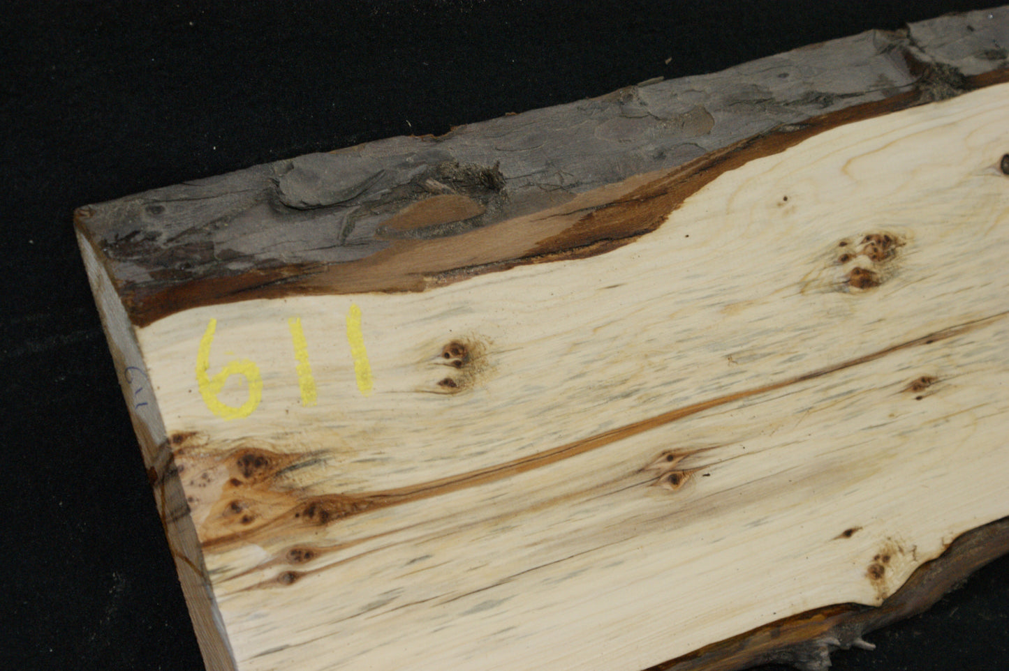 English Yew Shelf. (611)