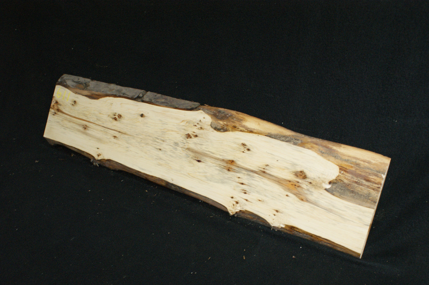 English Yew Shelf. (611)
