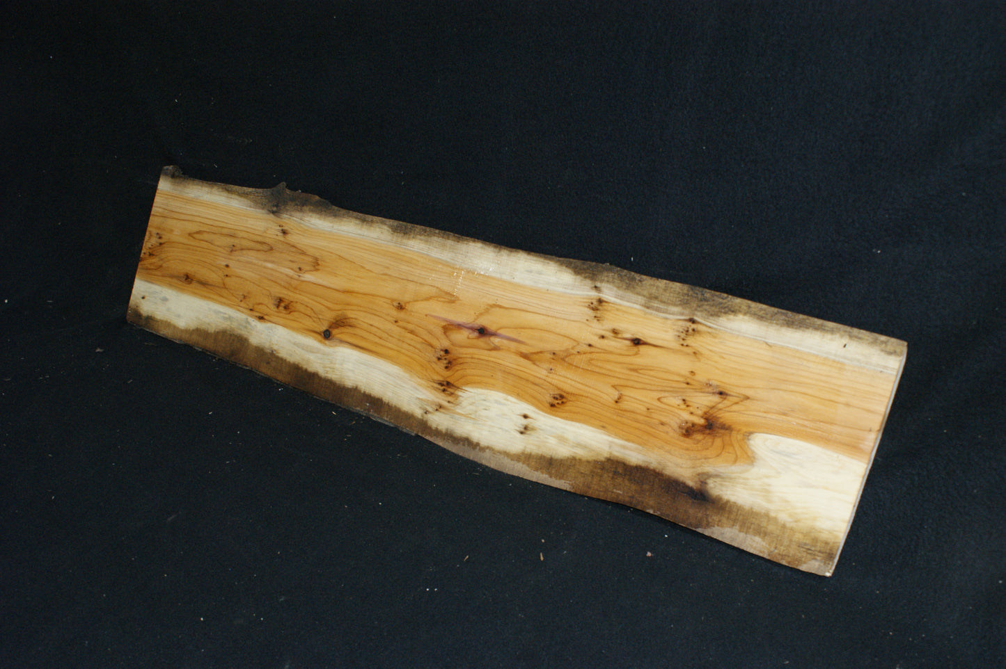 English Yew Shelf. (611)