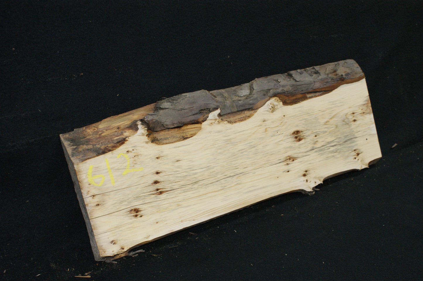 English Yew Shelf. (611)