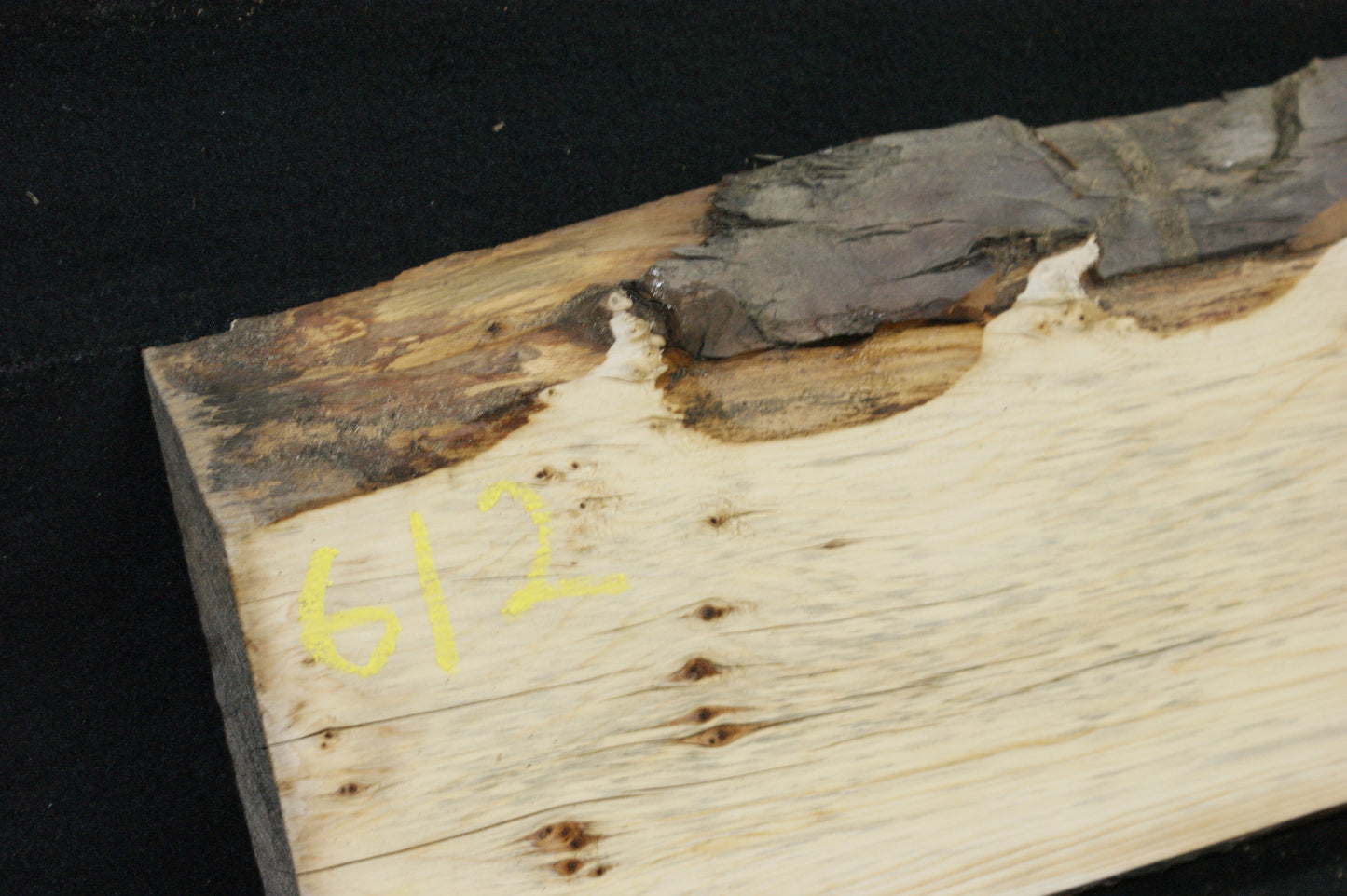 English Yew Shelf. (612)