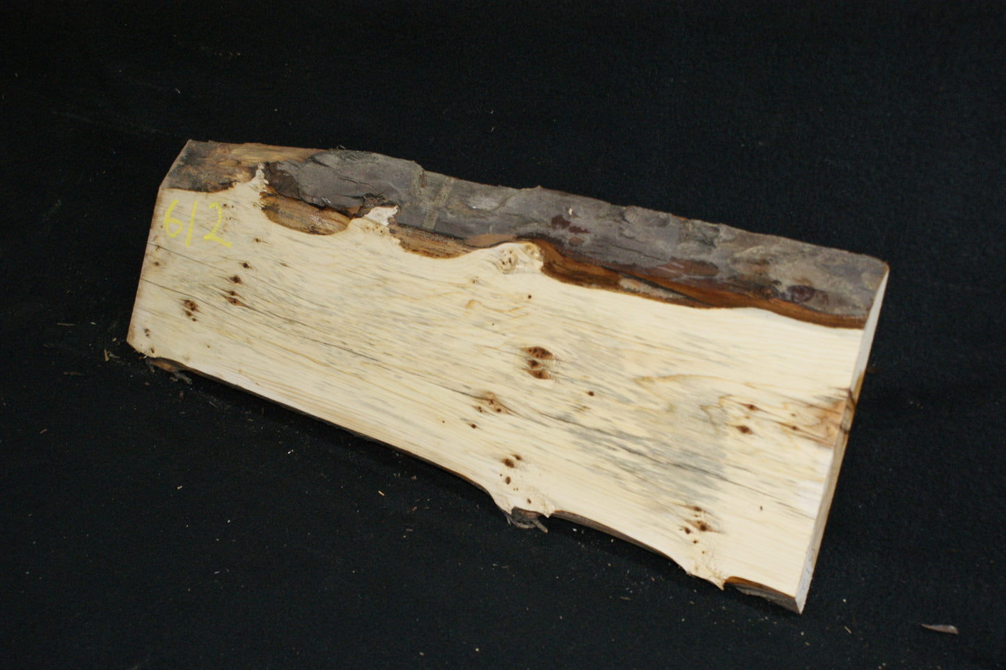 English Yew Shelf. (612)