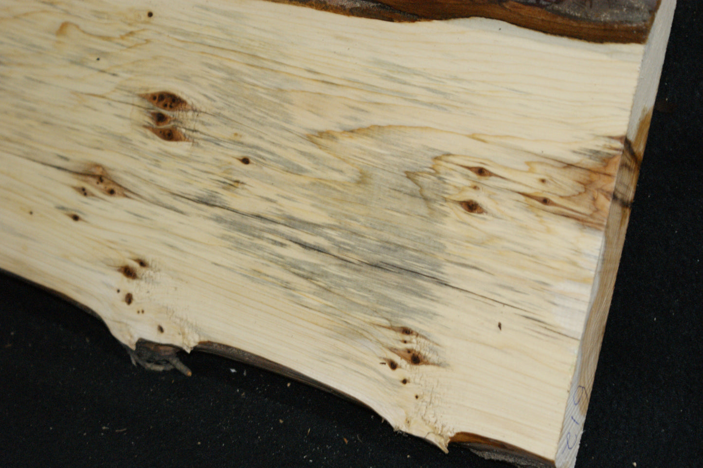 English Yew Shelf. (611)
