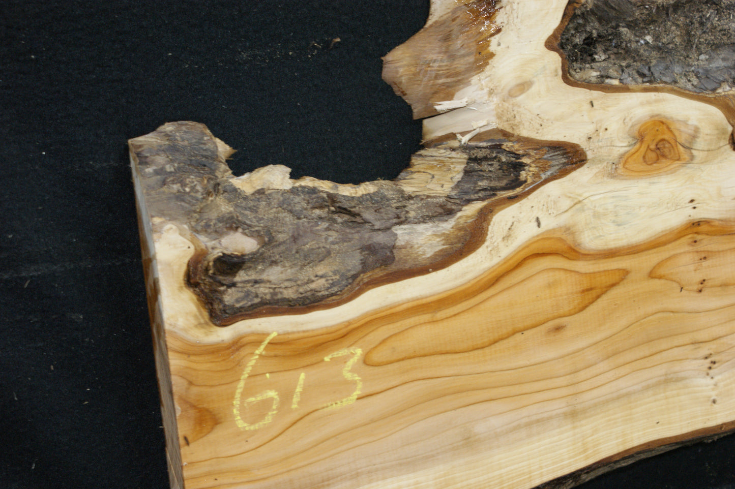 English Yew Shelf. (613)