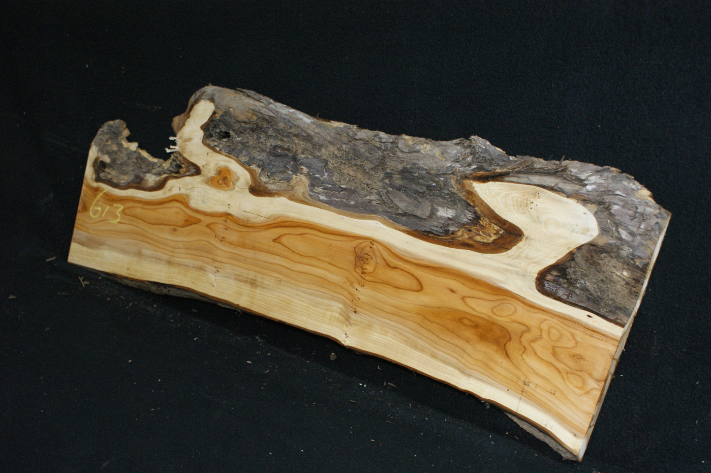 English Yew Shelf. (613)