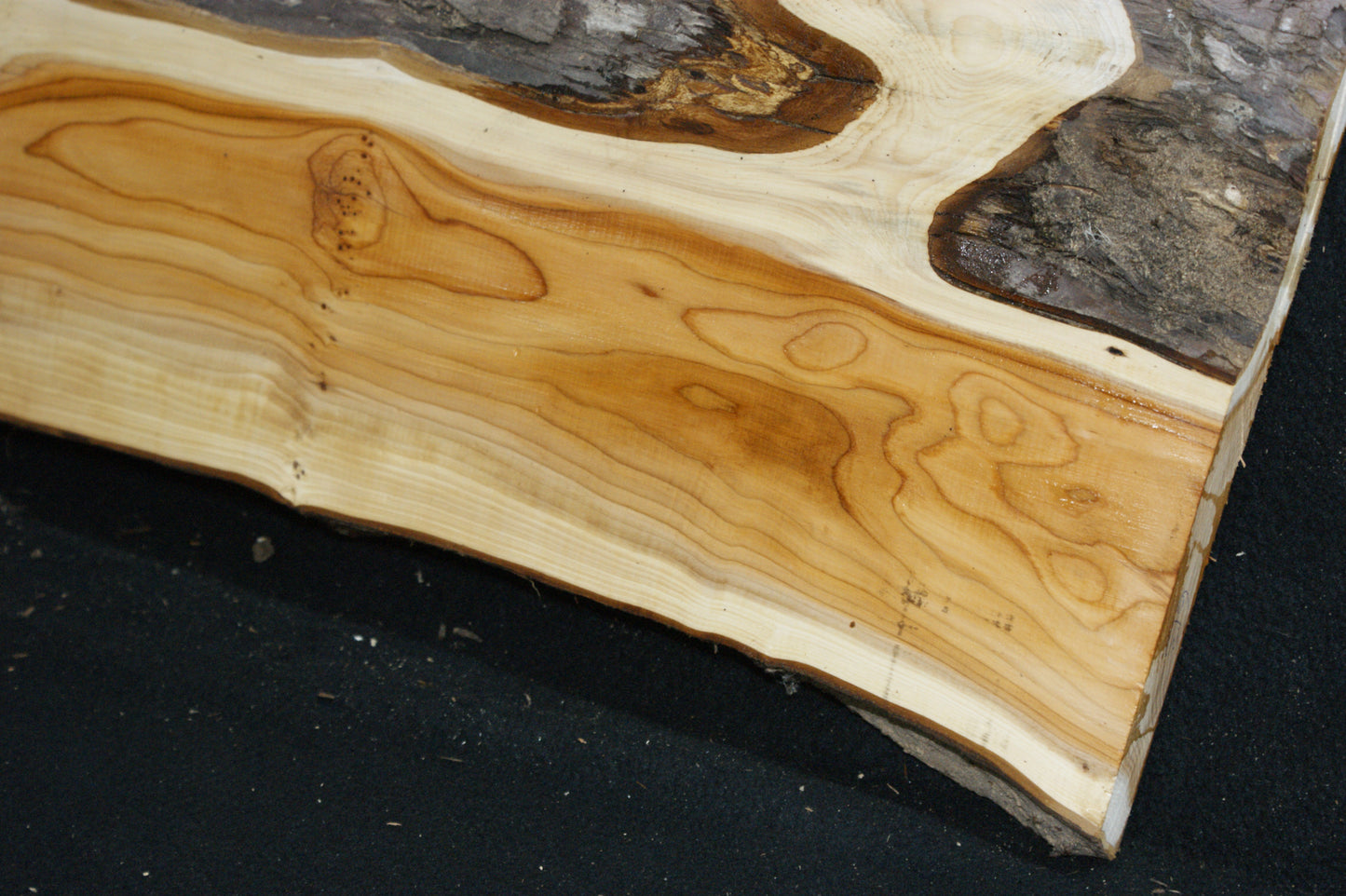 English Yew Shelf. (613)