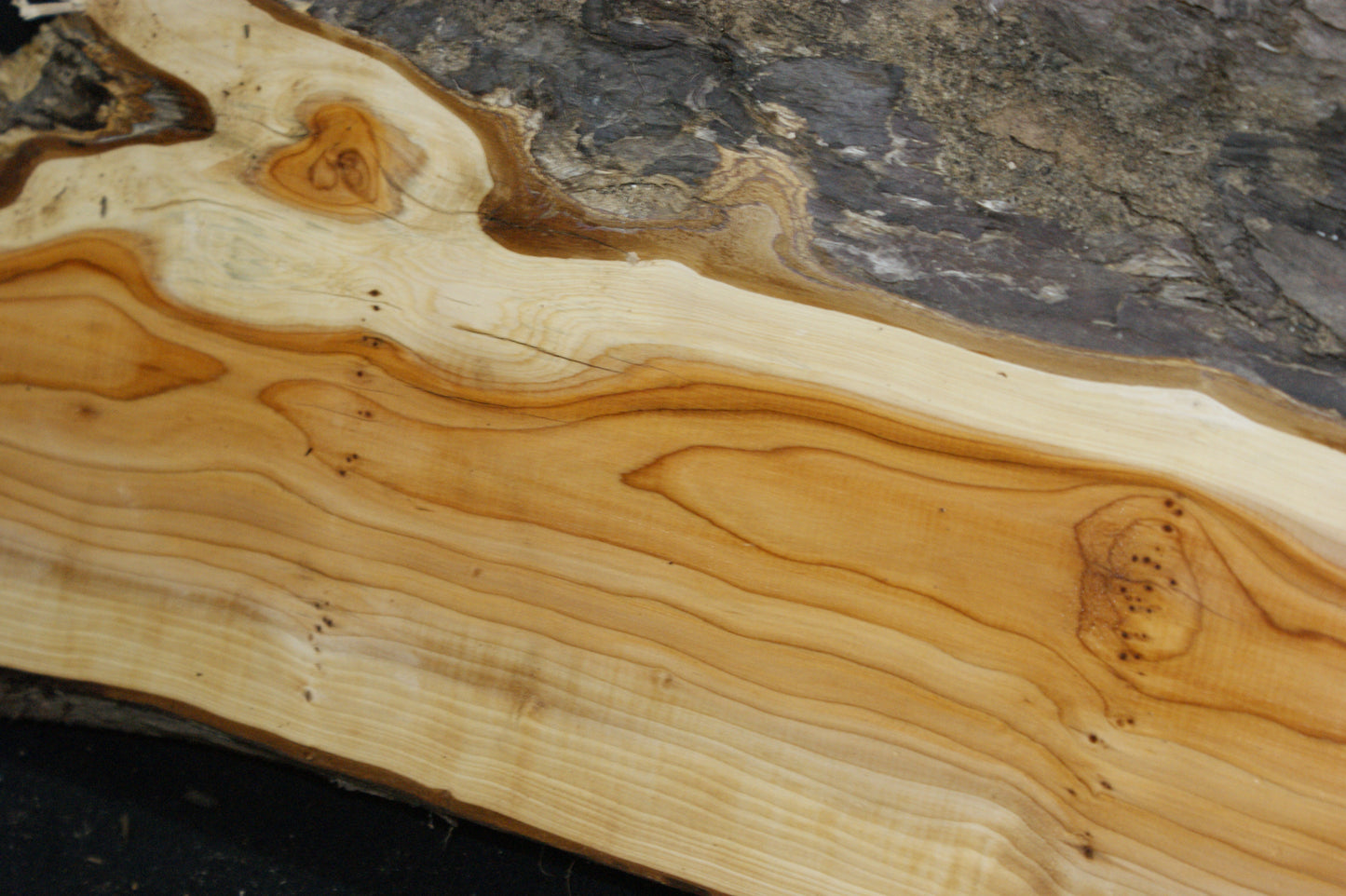 English Yew Shelf. (613)