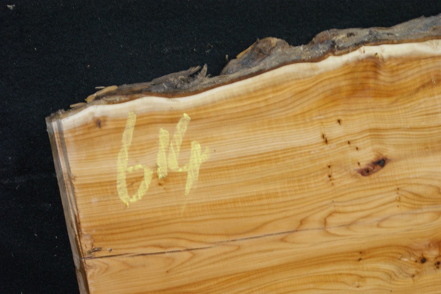 English Yew Shelf. (614)