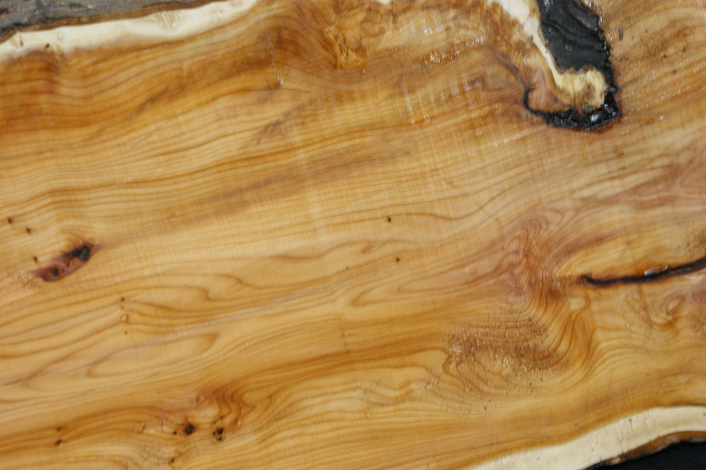 English Yew Shelf. (614)