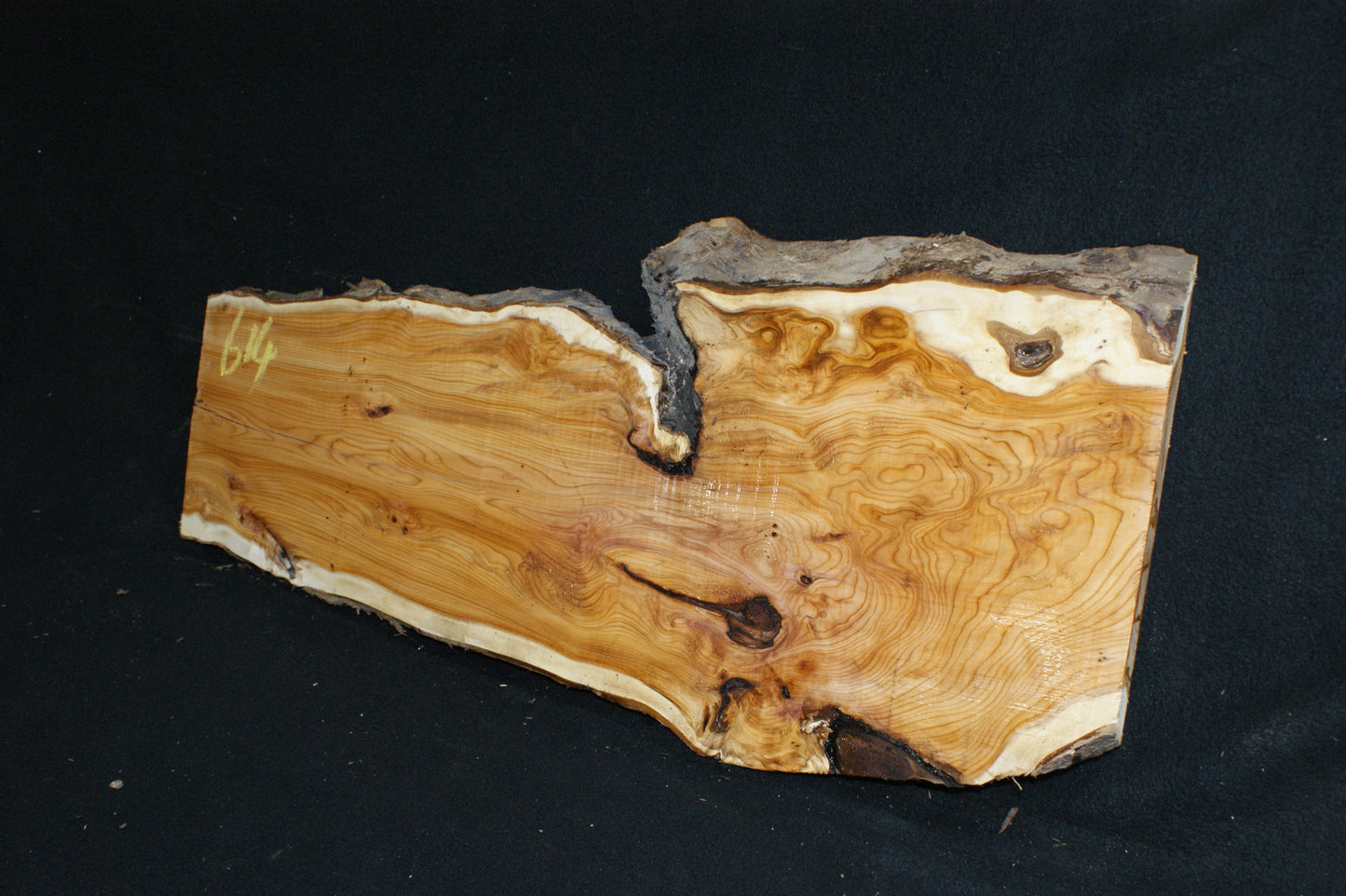 English Yew Shelf. (614)