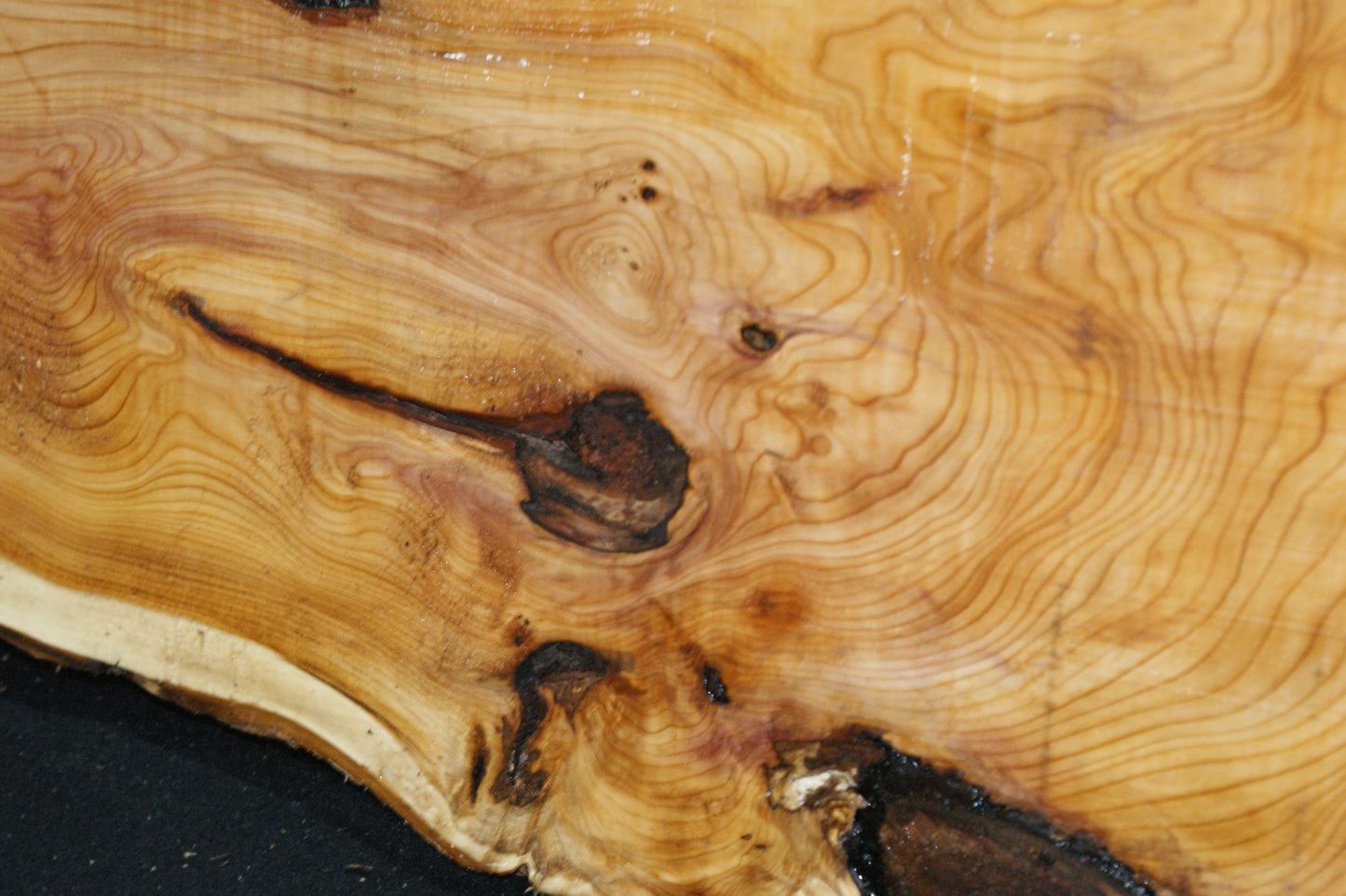 English Yew Shelf. (614)