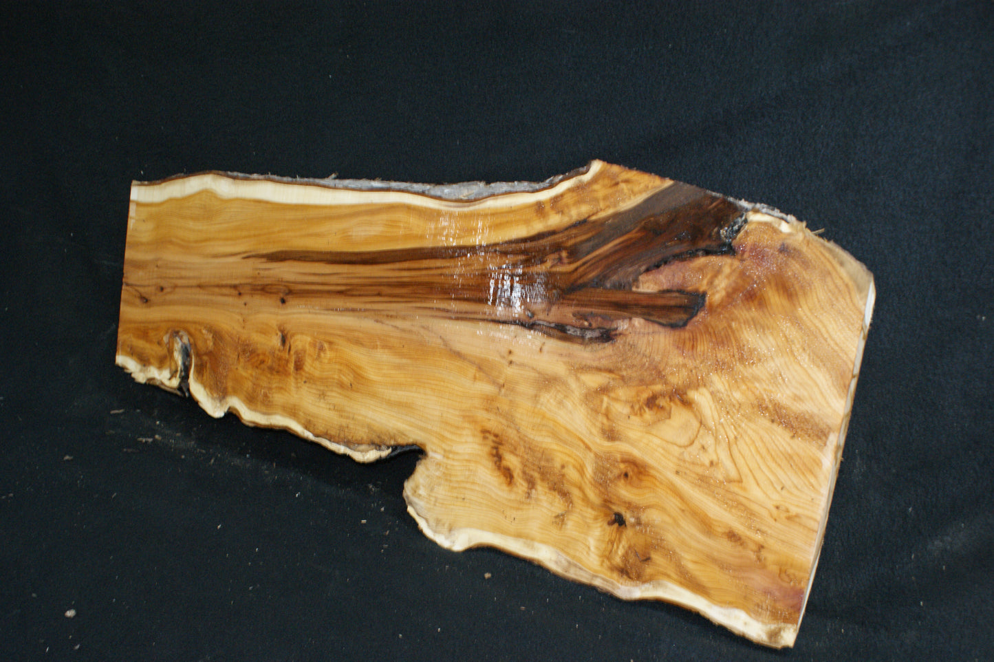 English Yew Shelf. (614)