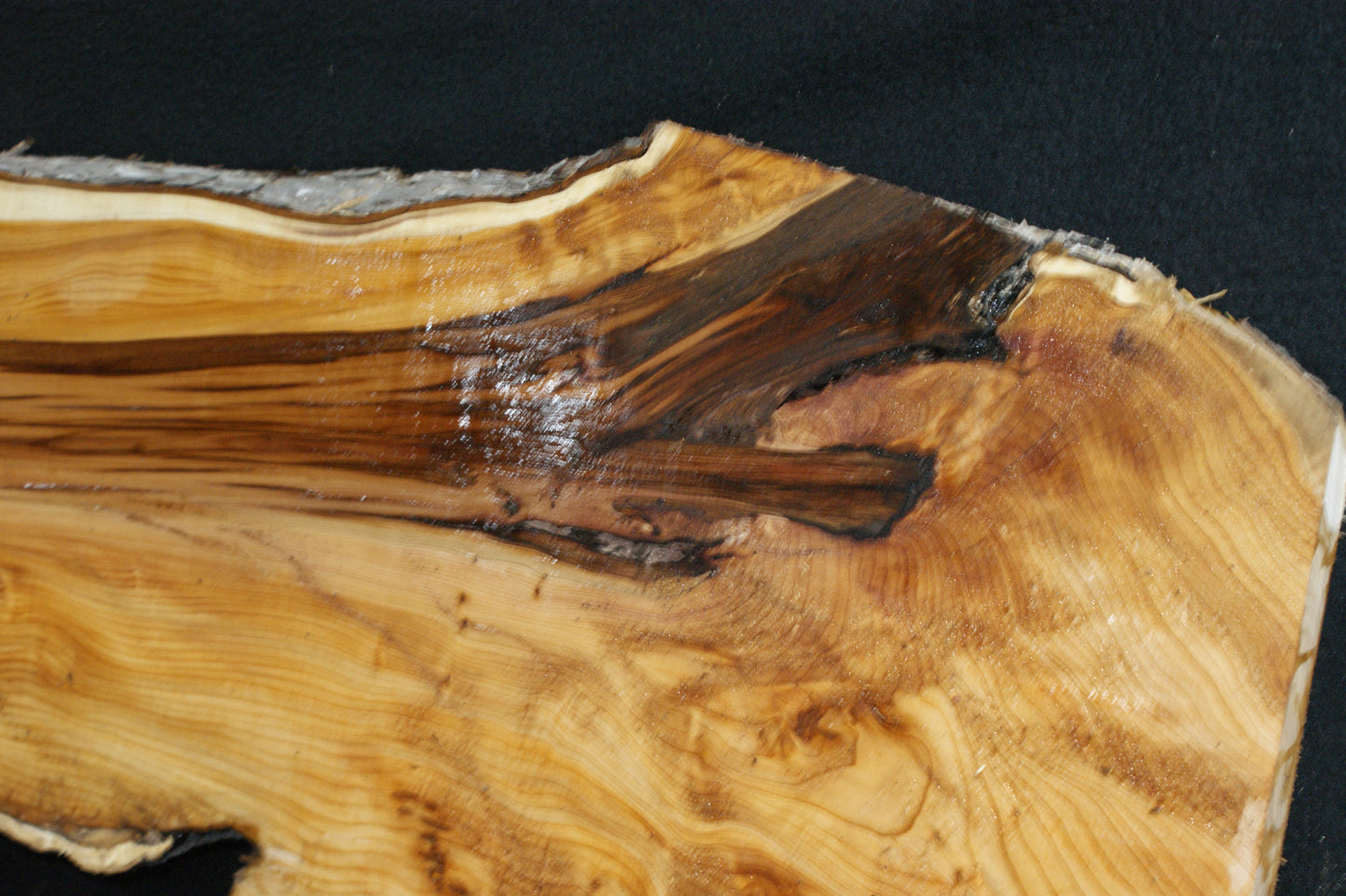 English Yew Shelf. (614)