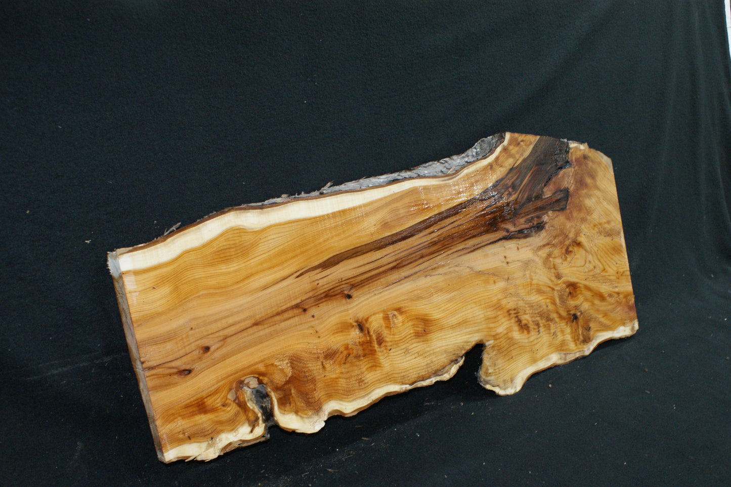 English Yew Shelf. (614)