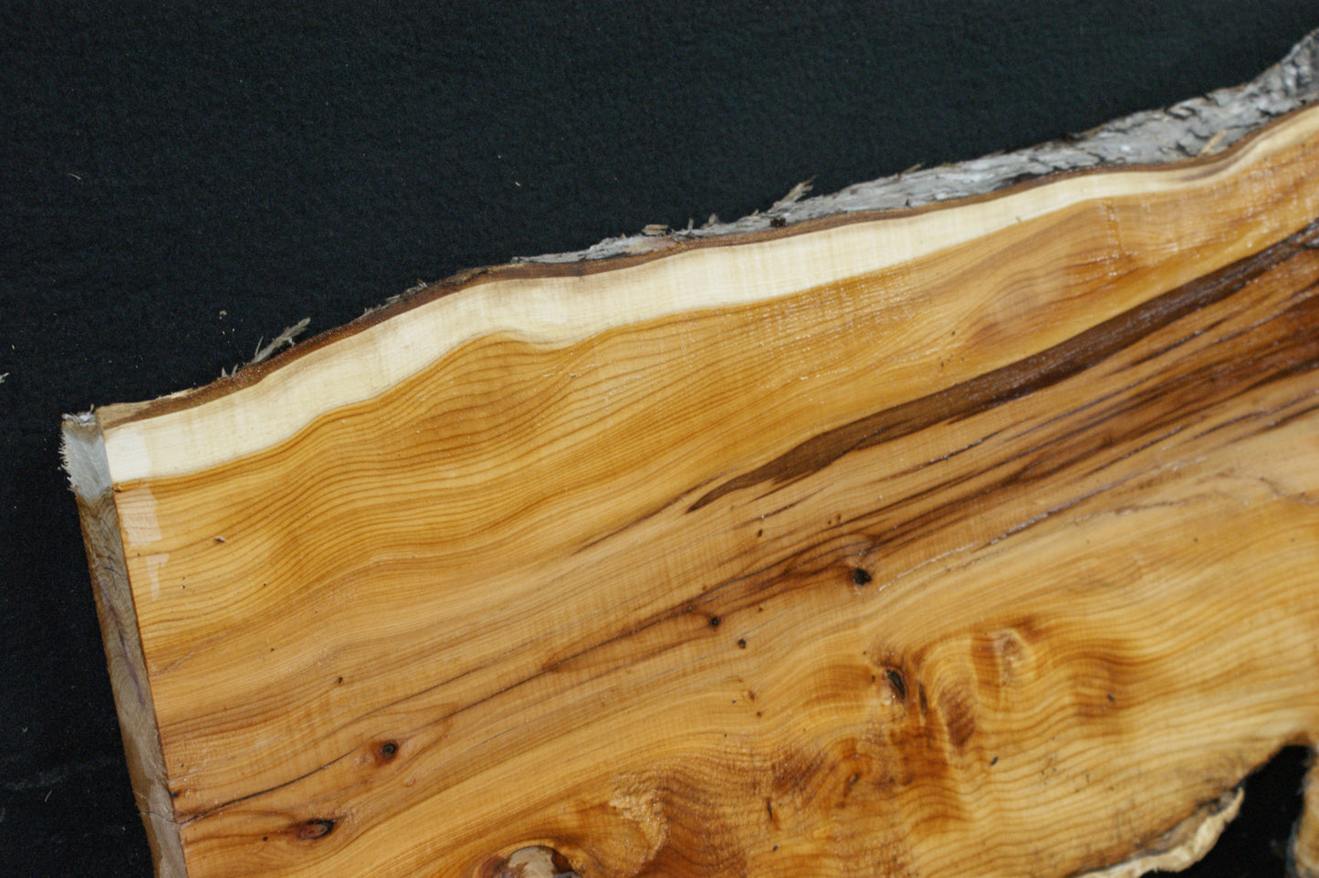 English Yew Shelf. (614)