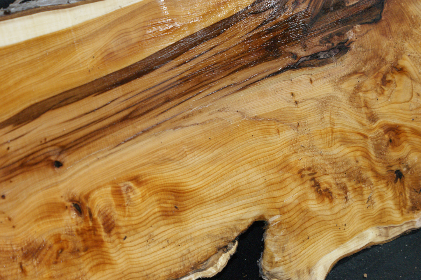 English Yew Shelf. (614)