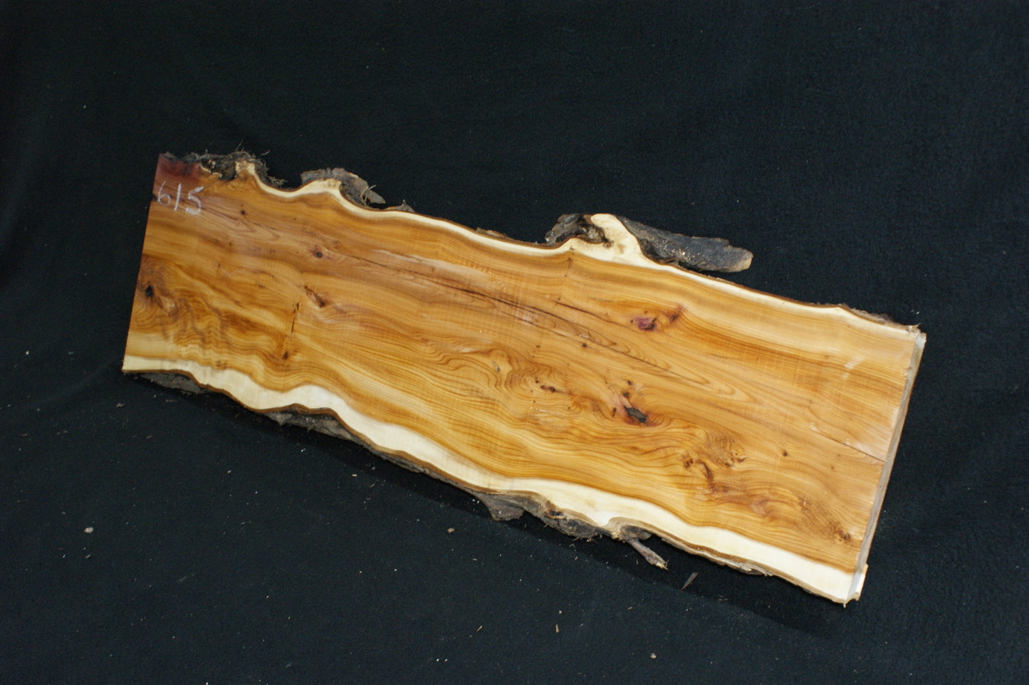 English Yew Shelf. (615)
