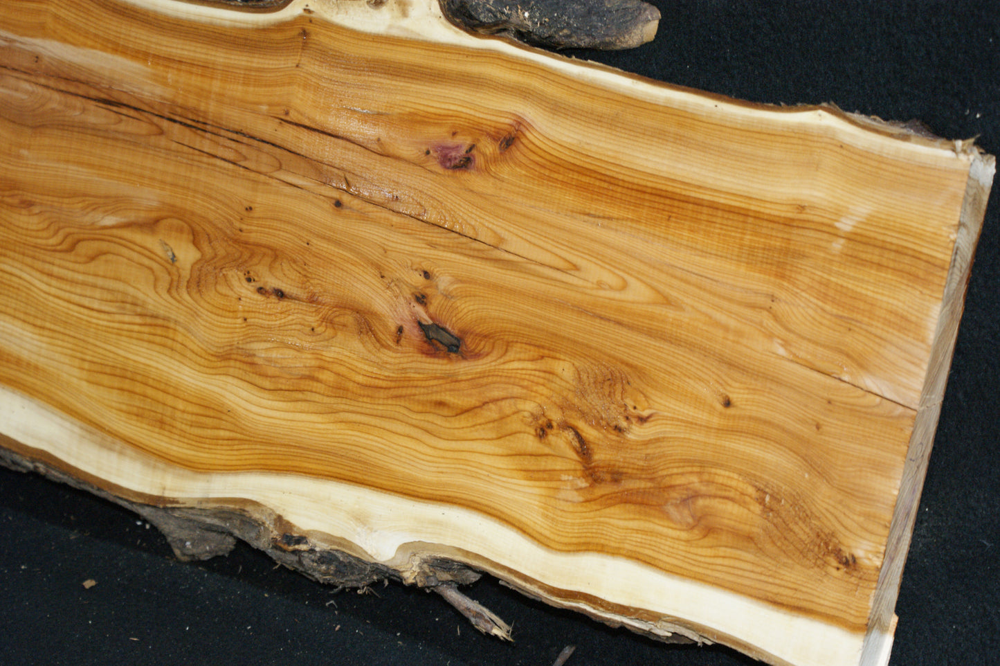 English Yew Shelf. (615)
