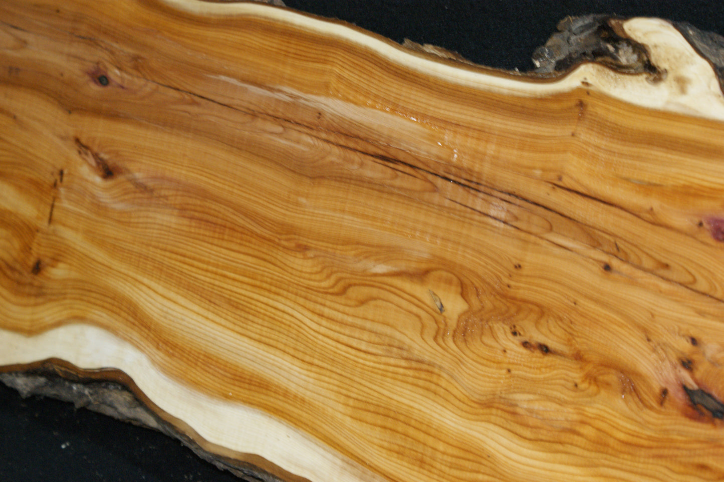English Yew Shelf. (615)