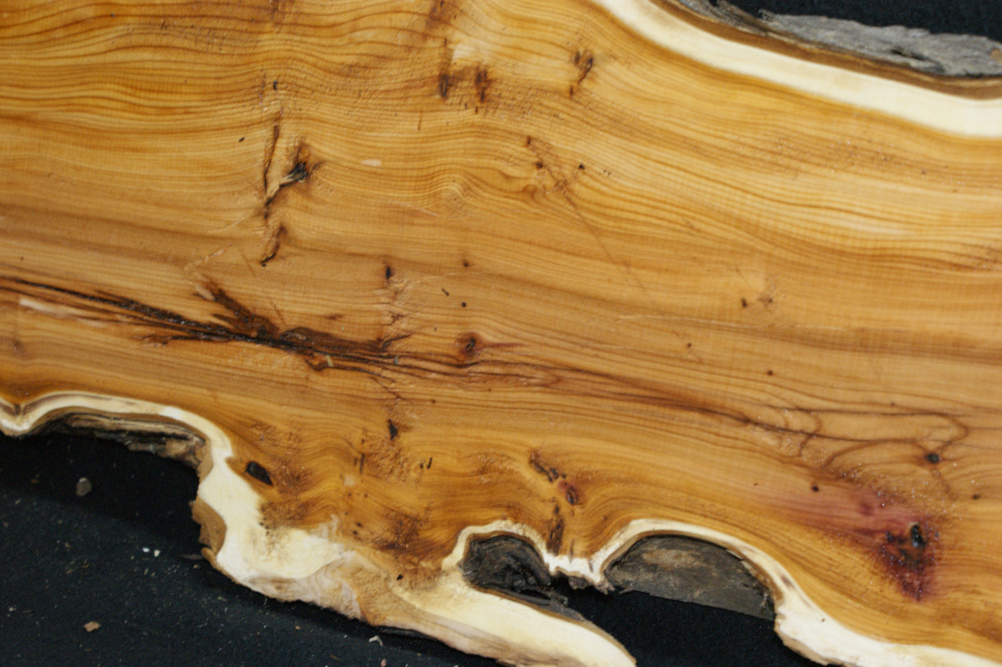 English Yew Shelf. (615)