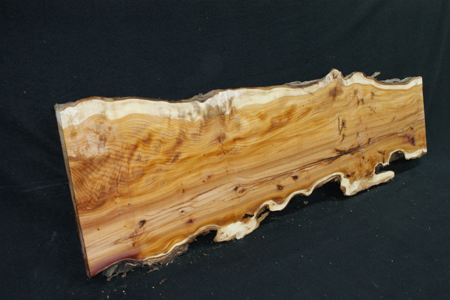 English Yew Shelf. (615)