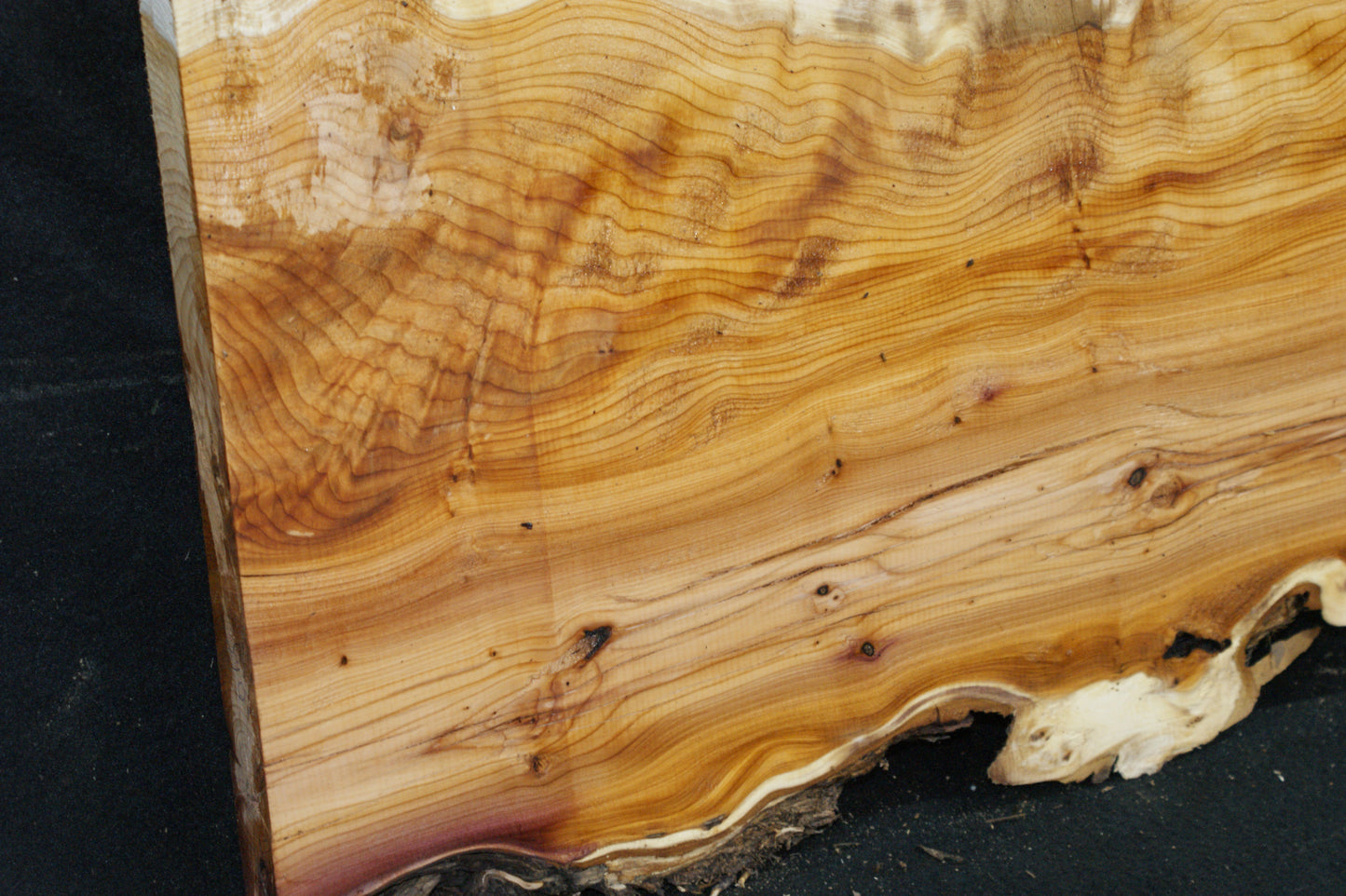 English Yew Shelf. (615)