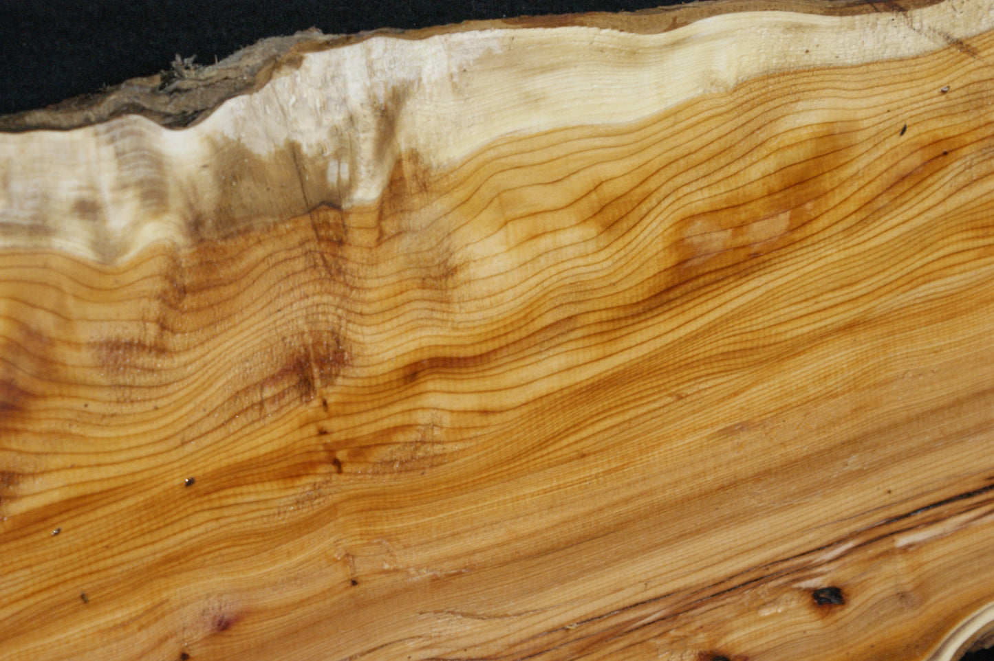 English Yew Shelf. (615)
