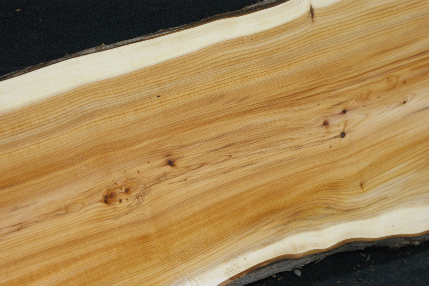 English Yew Shelf. (616)