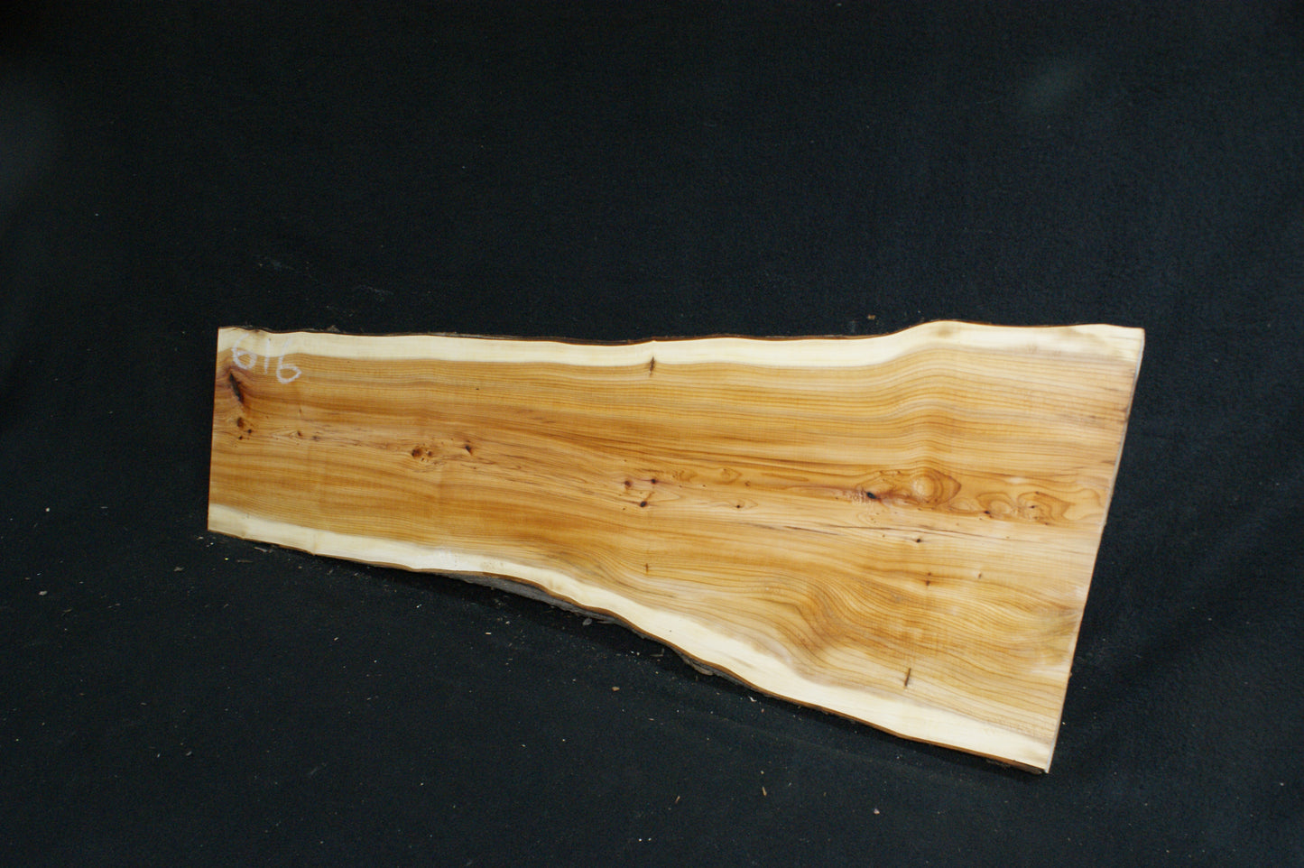 English Yew Shelf. (616)