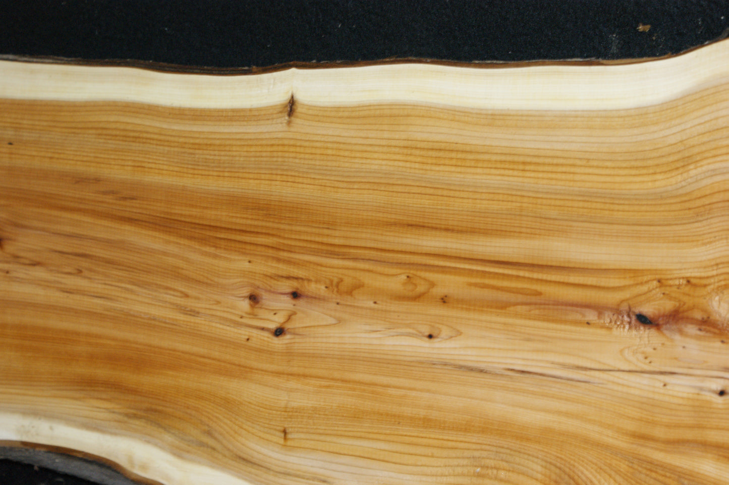 English Yew Shelf. (616)