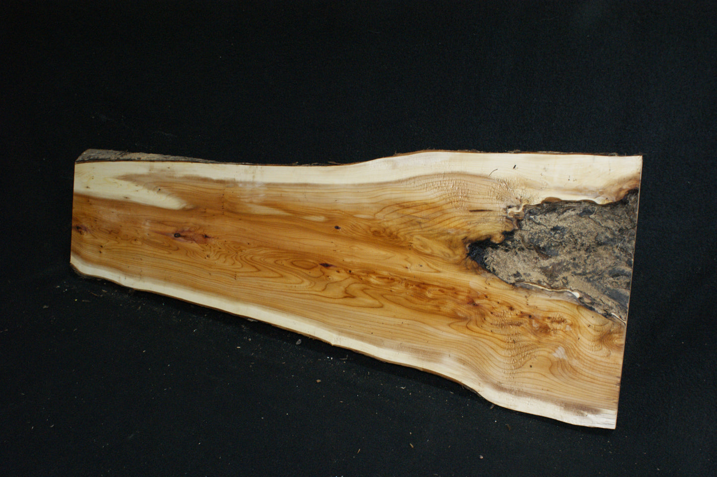 English Yew Shelf. (616)