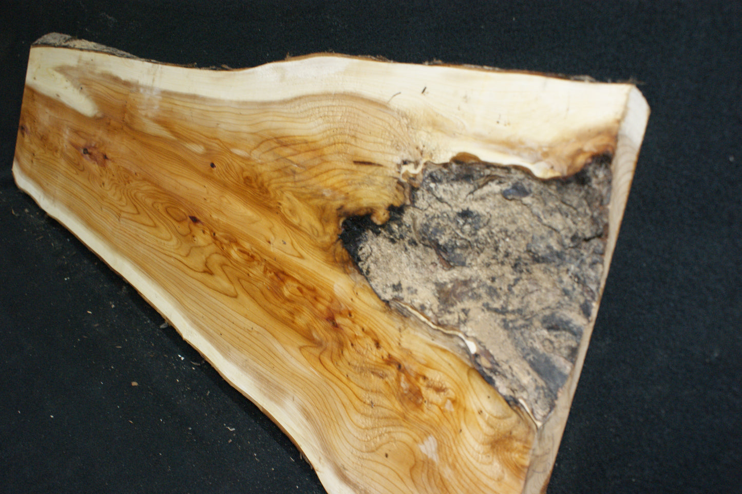 English Yew Shelf. (616)