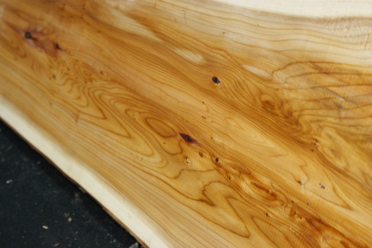 English Yew Shelf. (616)