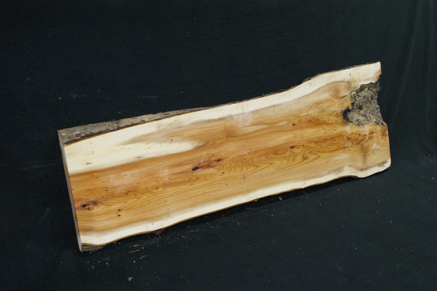 English Yew Shelf. (616)