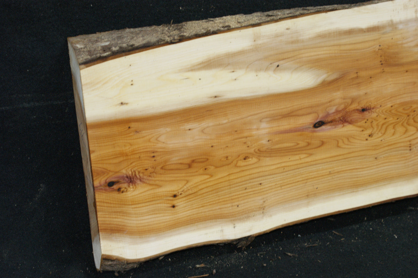 English Yew Shelf. (616)