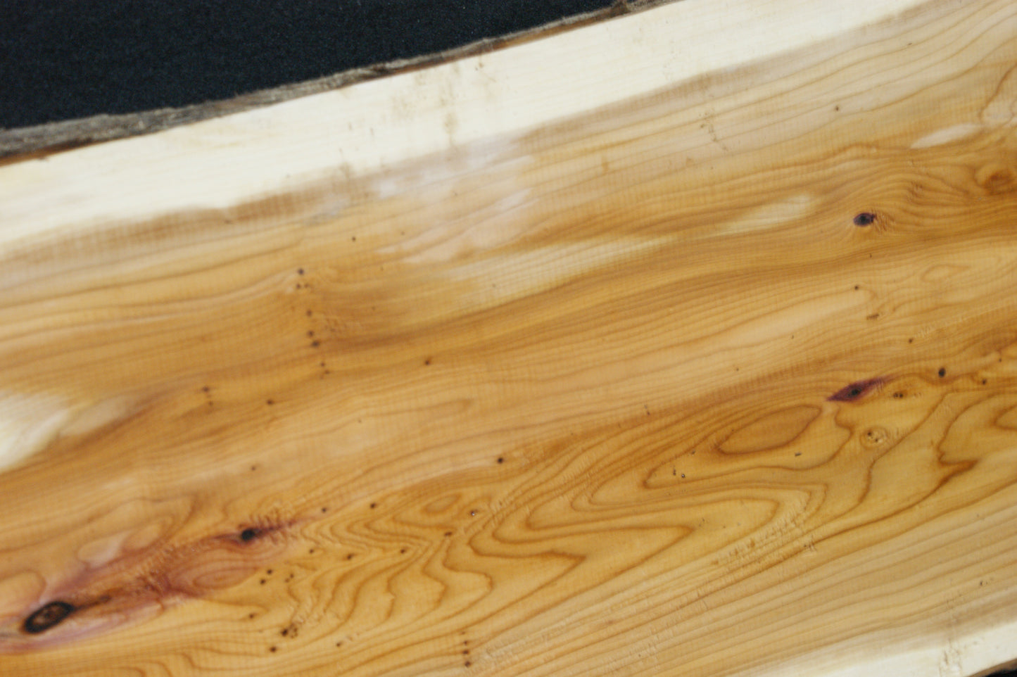 English Yew Shelf. (616)