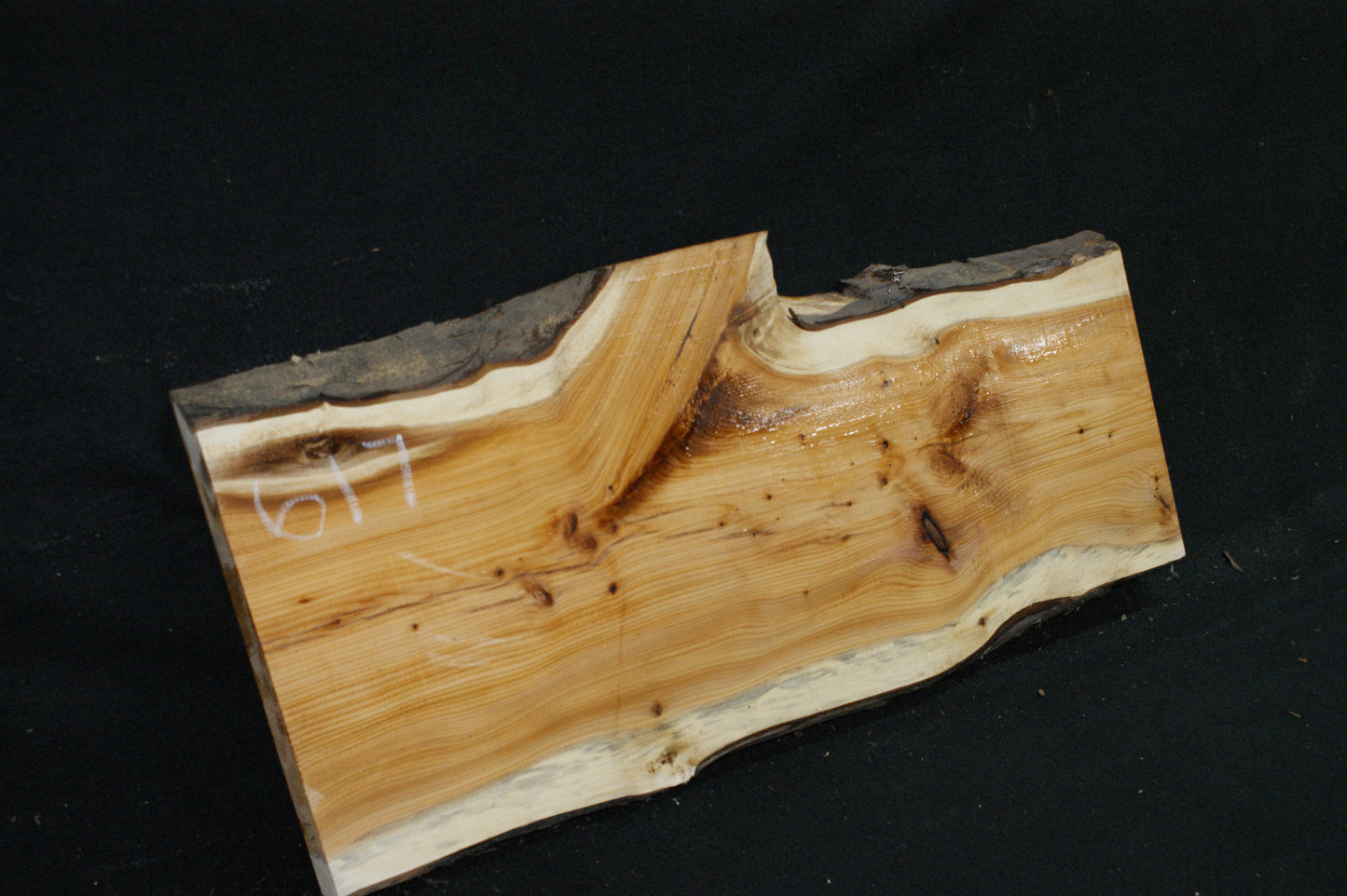 English Yew Shelf. (617)