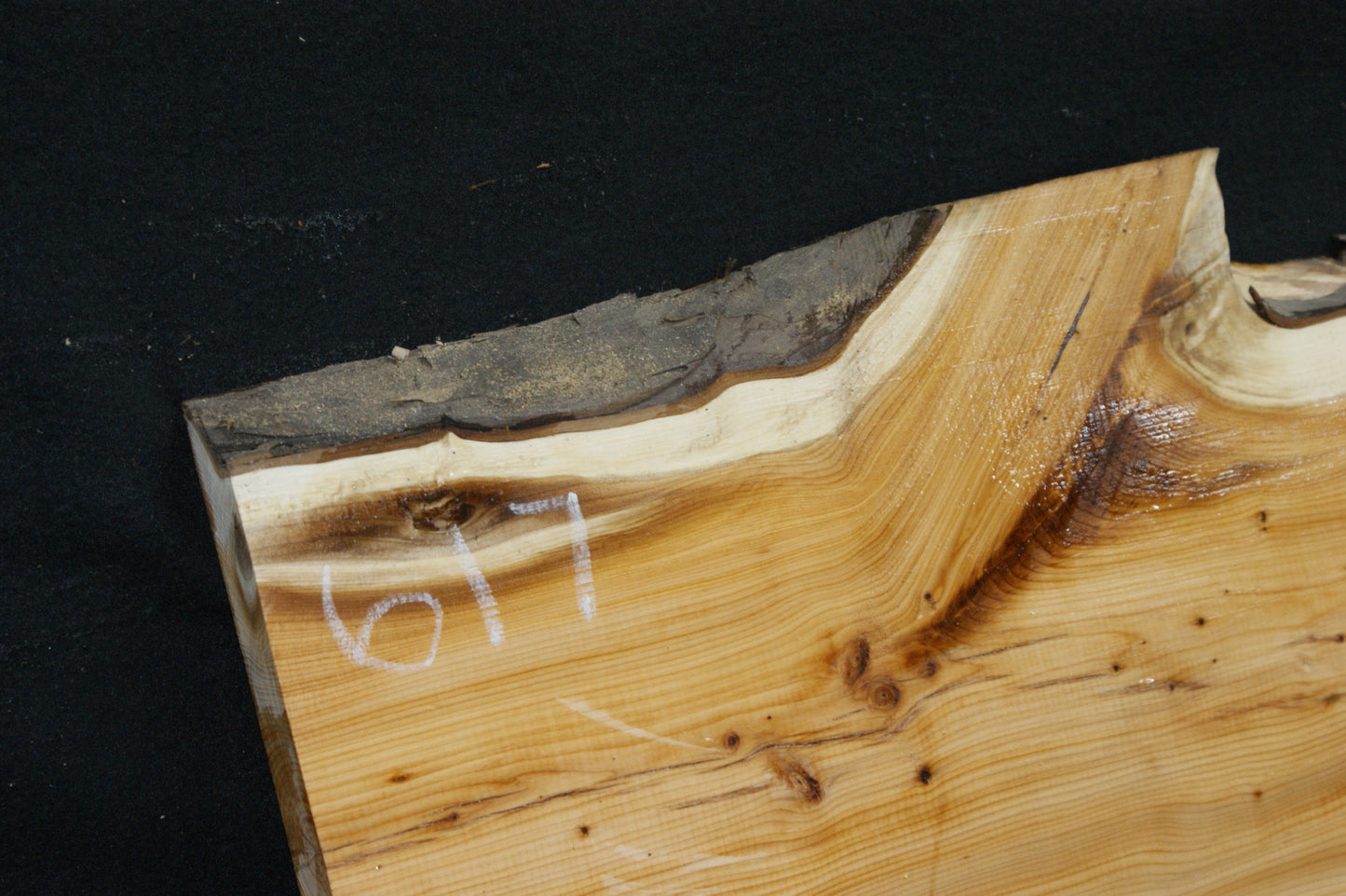 English Yew Shelf. (617)