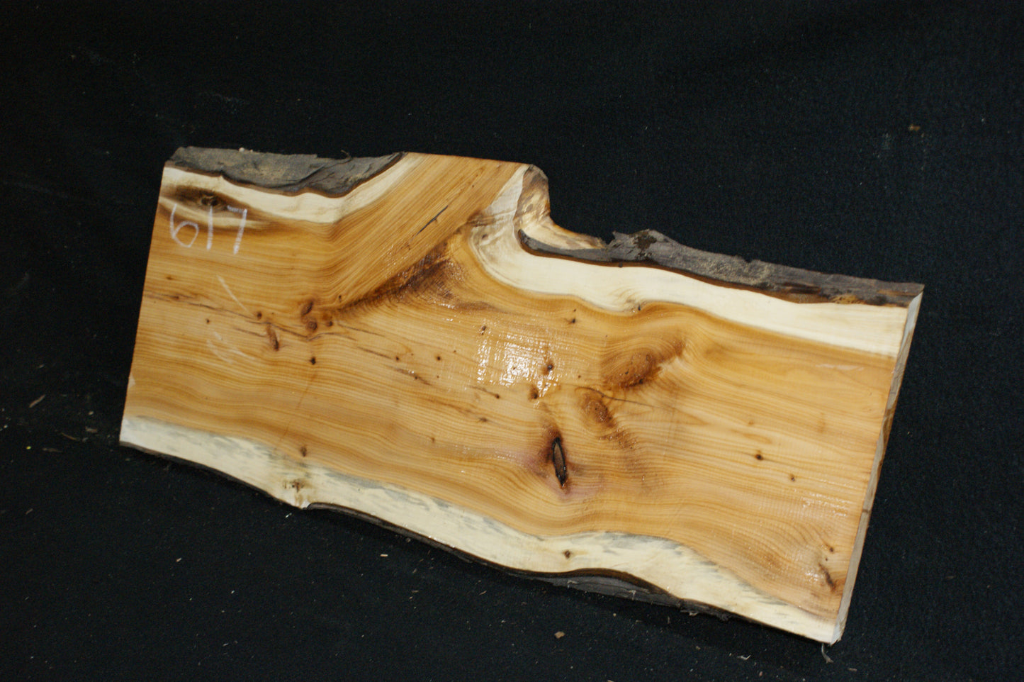 English Yew Shelf. (617)