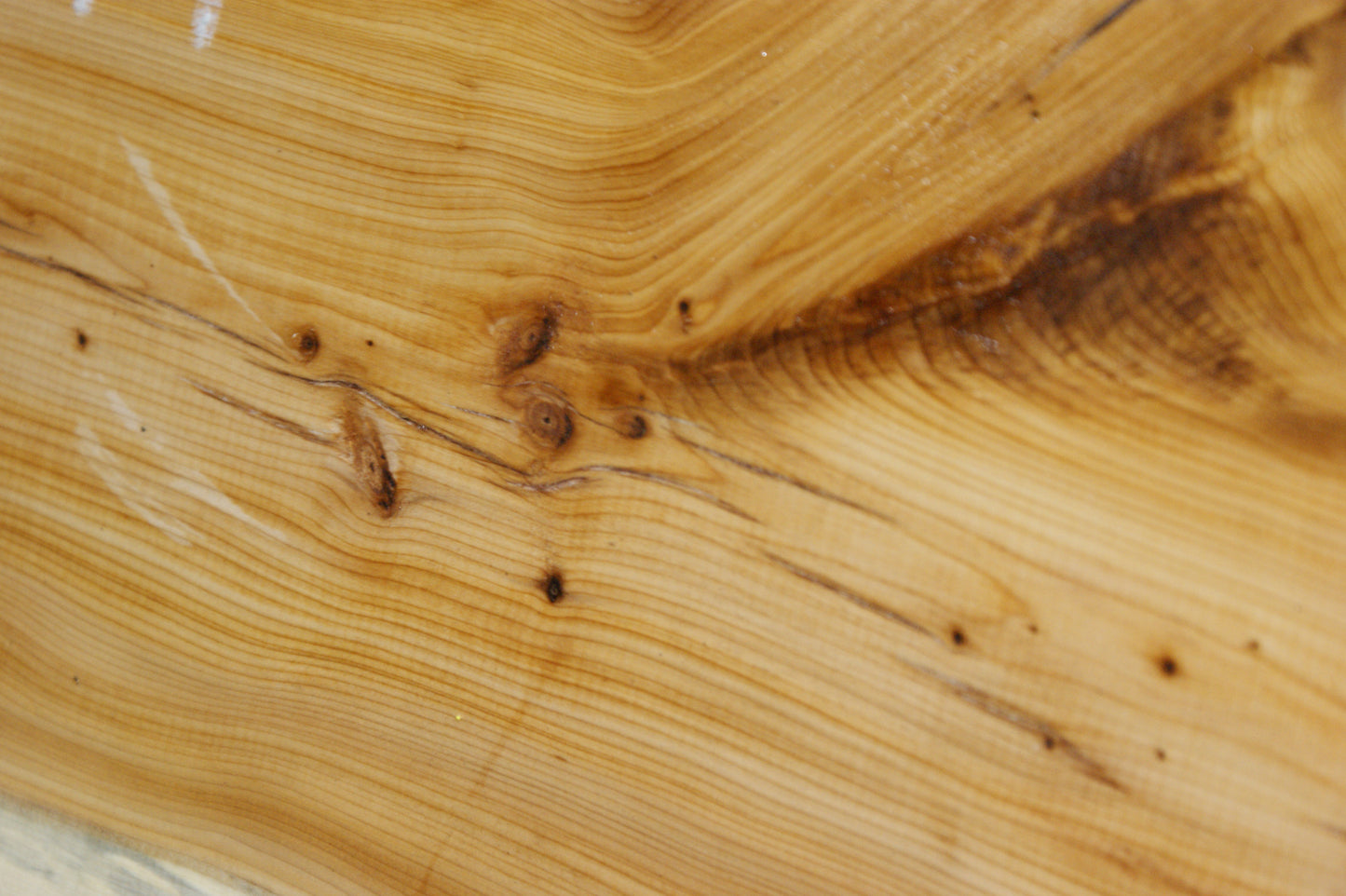 English Yew Shelf. (617)