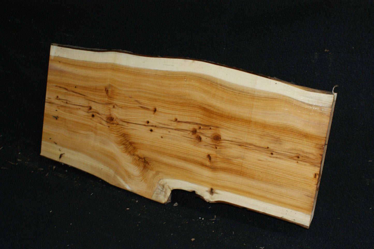 English Yew Shelf. (617)