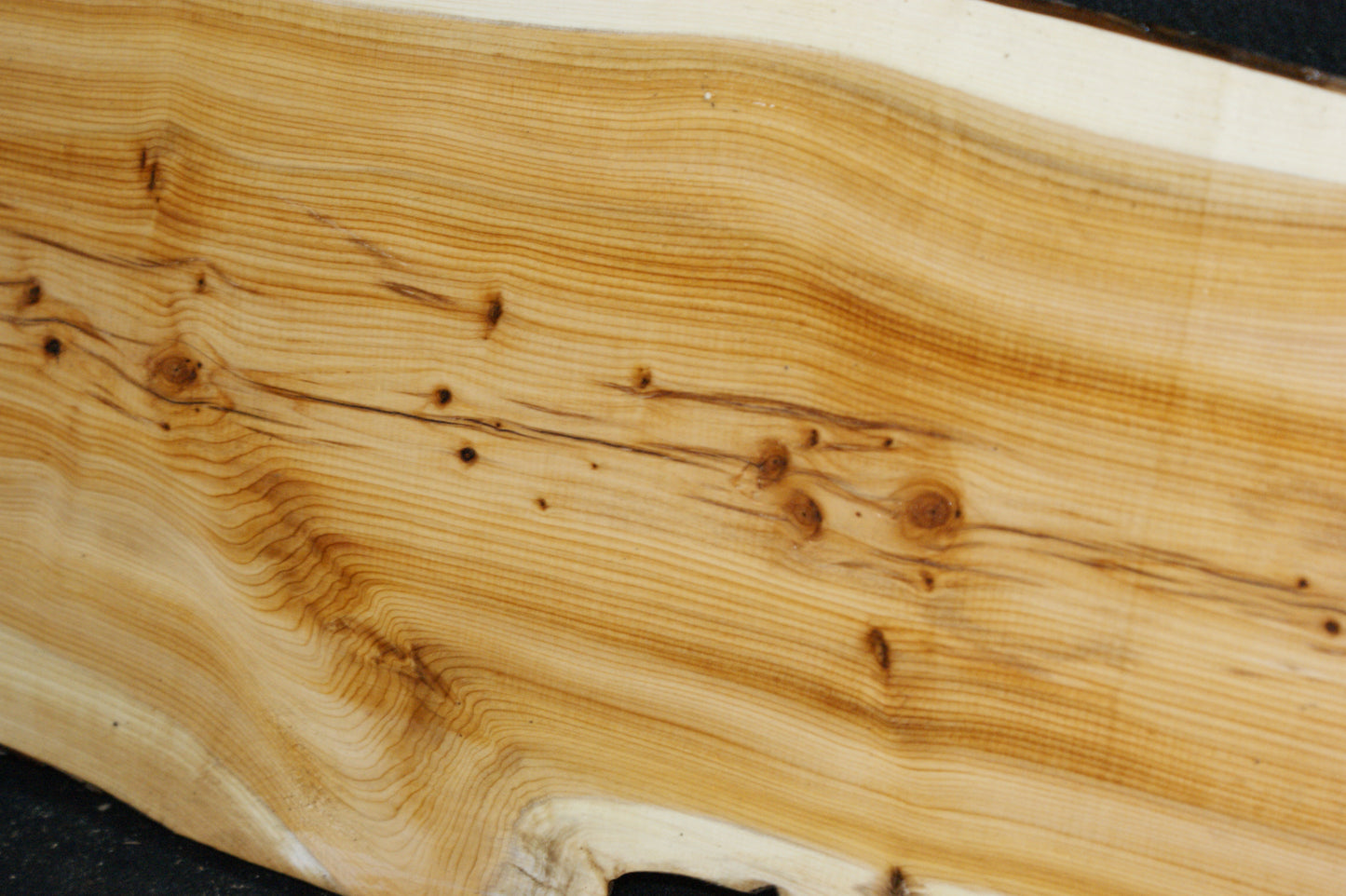 English Yew Shelf. (617)