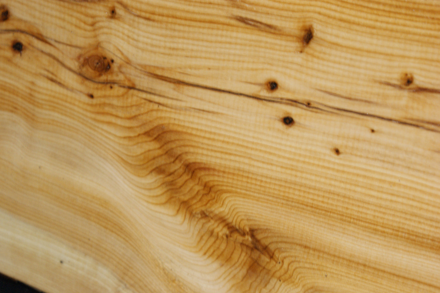 English Yew Shelf. (617)