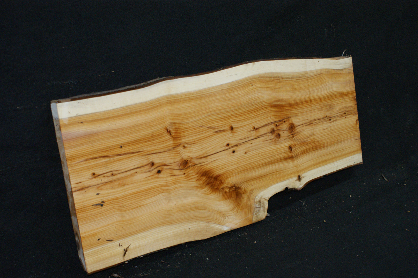 English Yew Shelf. (617)
