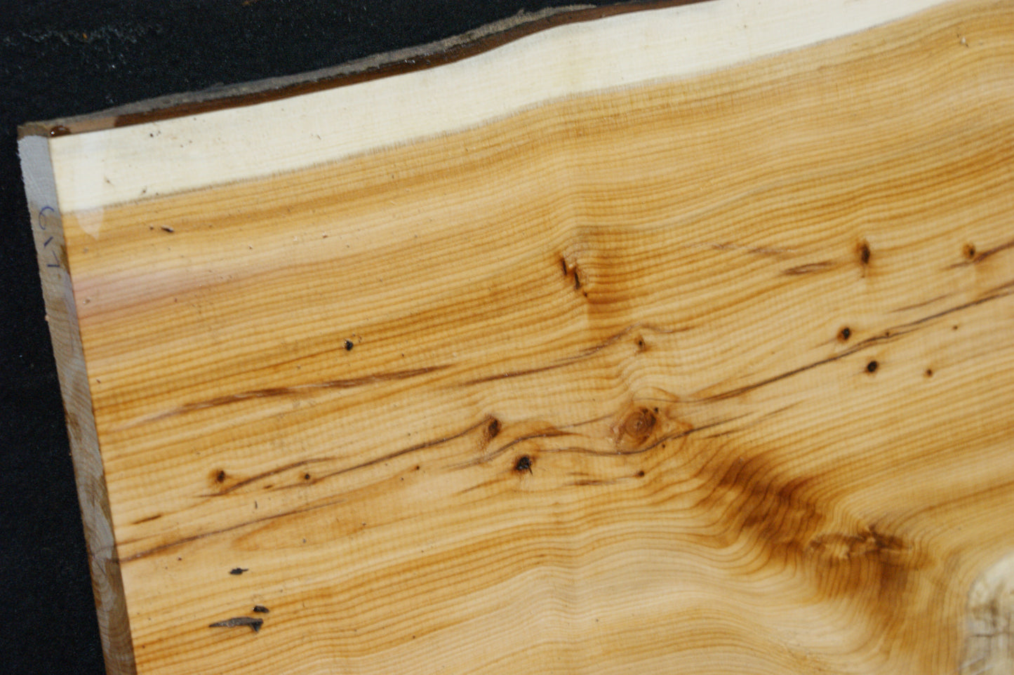 English Yew Shelf. (617)