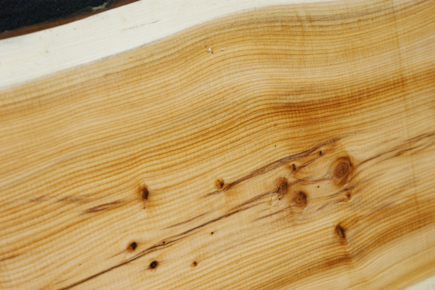English Yew Shelf. (617)