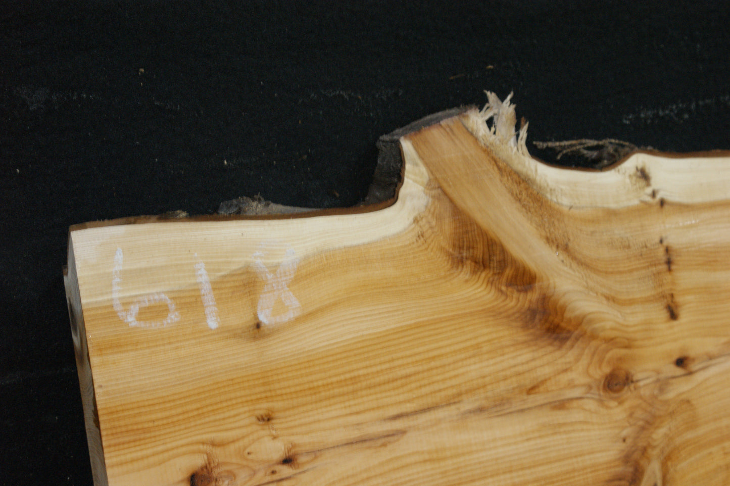 English Yew Shelf. (618)