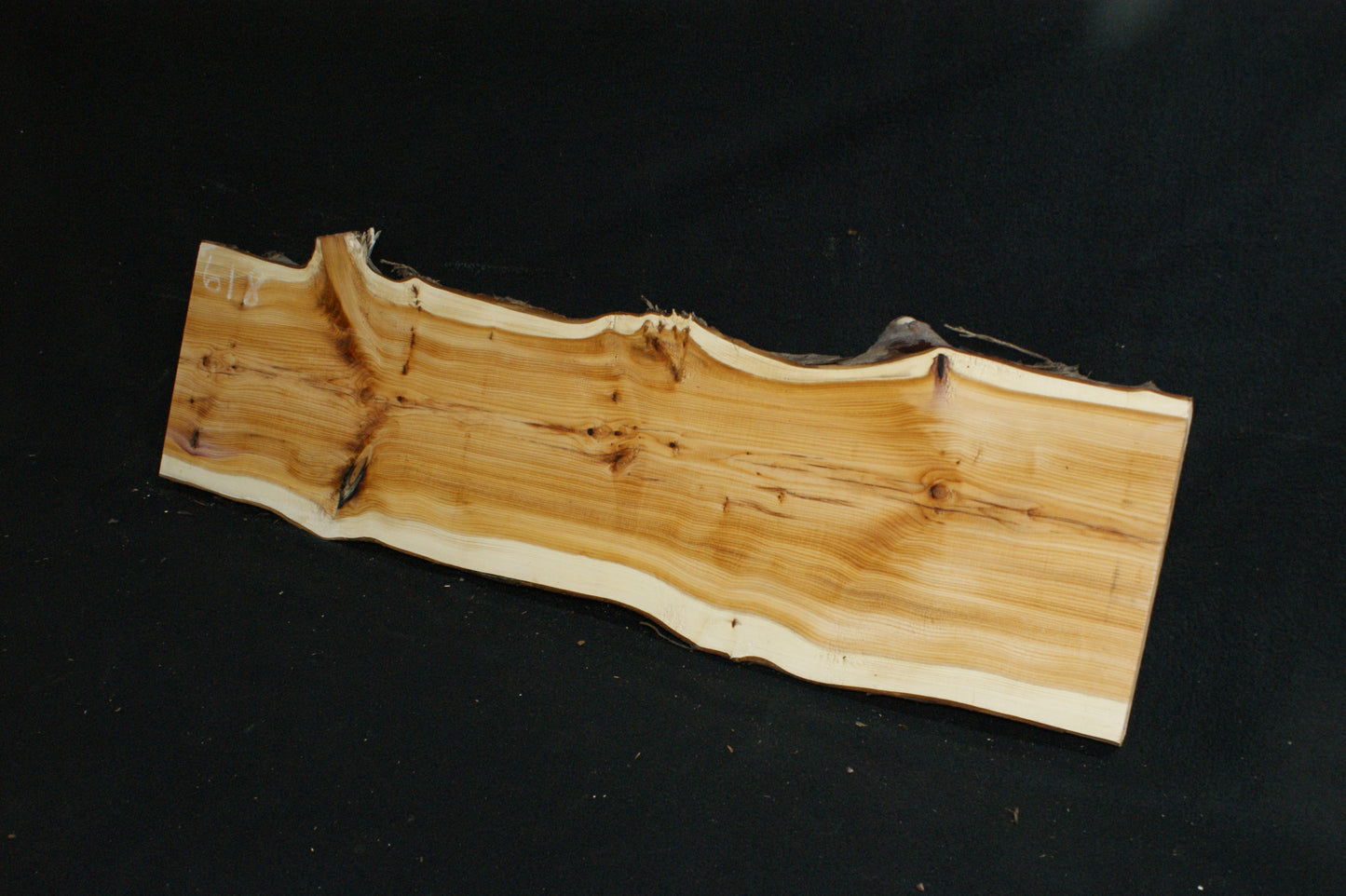 English Yew Shelf. (618)