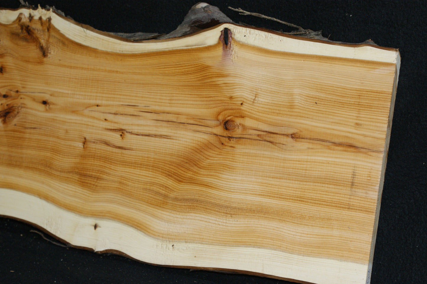 English Yew Shelf. (618)